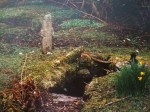 St Oran's Well, Colonsay, Western Highlands