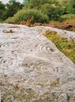 Roughting Linn Cup-Marked Rocks, Northumberland (photo credit: Ronald Sheridan).