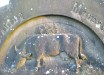 Cow on gravestone at St John's churchyard.