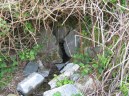 Holy Well (Photo credit: Fr John Musther.