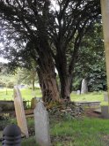 Churchyard at Ysbyty Cynfyn (Photo Credit Penny Mayes, Geograph)