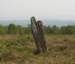 Gray Hill Standing Stone (Photo credit Paul Sheppard/Geograph)