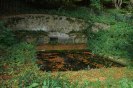 Fair Rosamund's Well, Blenheim (Photo Credit: Philip Halling - Geograph)