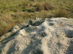 Winter Hill Stone (Top).