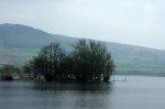 Crannog on Llangorse Lake (photo credit: Pam Fray - for Geograph)