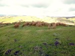 Ell Clough Ring Cairn on Boulsworth Hill.