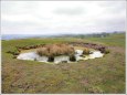 Bell Pit & Pond on Castercliff hillfort.