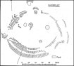 Castercliff Hillfort Plan (After D.G. Coombs).