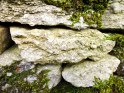 Rocks with fossils at Twiston, Lancashire.