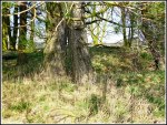 Little Painley Burial Mound, near Gisburn, close-up.