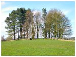 Little Painley tumulus, near Gisburn, Lancs.