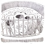 The Burton Stone on Burton Stone Lane, Clifton, York