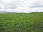 Ring Stones Earthwork (from the south-east).