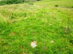 Whitelow Cairn (outer bank south-east side).