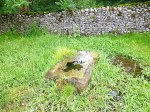 St Helen's Well, near Draughton, North Yorks.