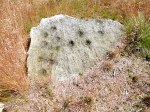 Cup-marked rock on Rivock Edge, west Yorks.