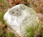 Stone with cup-marks on Rivock Edge, west Yorks.
