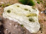 Cup-marked stone on Rivock Edge, west Yorks