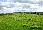 Lower Colgarth Hill, near Bell Busk (burial mound)
