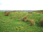 Cobers Laithe Earthwork (the enclosure south-side). (the inner enclosure).