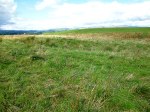 Cobers Laithe Earthwork, near Nappa (looking north-west).