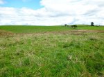 Cobers Laithe Earthwork, near Nappa (looking north-east).