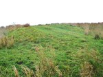 Cobers Laithe Earthwork (grassy bank and ditch)