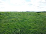 Steeling Hill Earthwork (from the south-west).