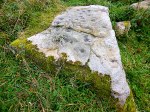Dragon Stone - cup-marked rock near Steeton, west Yorkshire