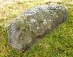 Cup-Marked rock in the field near Cob Stone.