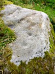 Cup-marked rock opposite Dragon Stone.