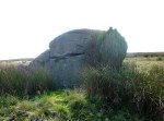 Kid Stone on Sutton Moor (with yew tree).